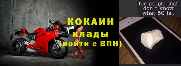 индика Осинники
