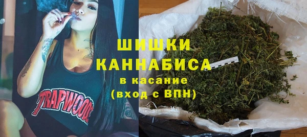 индика Осинники