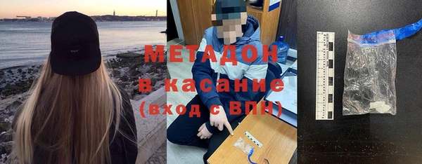 индика Осинники