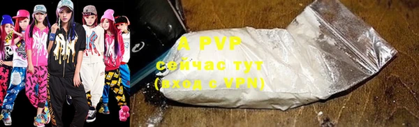 PSILOCYBIN Нязепетровск