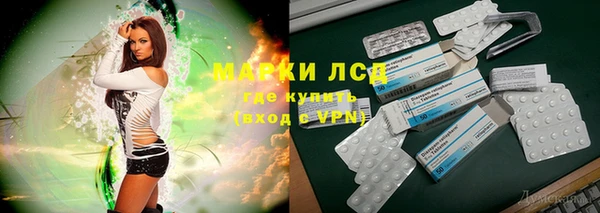 PSILOCYBIN Нязепетровск