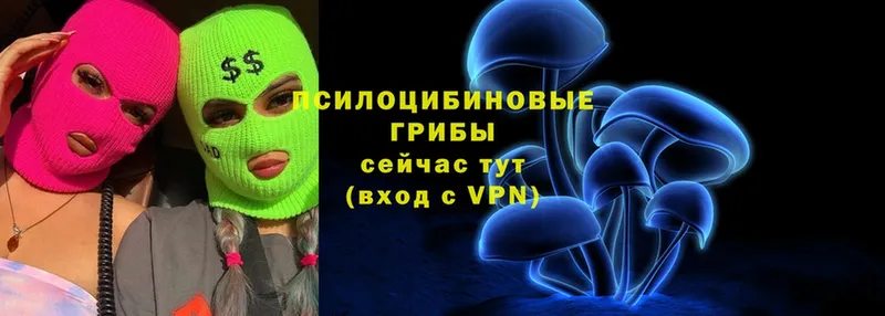 Псилоцибиновые грибы Cubensis  OMG как войти  Туймазы  где продают  