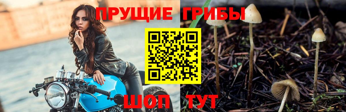 Метадон  LSD-25  Альфа ПВП СК кристаллы  Кокаин  МЕФ   Марихуана  ГАШИШ  Туймазы  Вход с VPN 